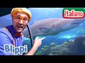 Blippi visita un acquario | Blippi in Italiano | Video educativi per bambini