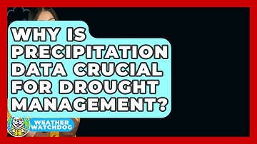 Why Is Precipitation Data Crucial For Drought Management? - Weather Watchdog