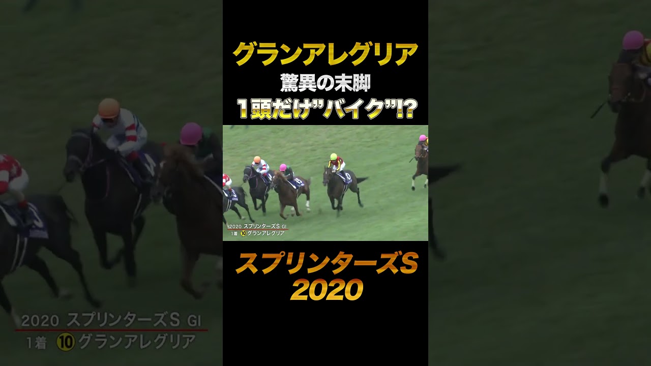 関連動画1