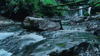 Tranquil Looping Stream, River Vibe for Relax and Restful Night | sleep - relax - enjoy life - ASMR
