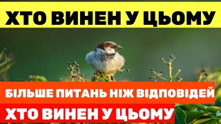 🔥МАГАМЕДРАСУЛОВ: ЗАТРИМАНИЙ ДЕТЕКТИВ НАБУ ПІД ПІДОЗРОЮ, 9 СЕРПНЯ АПЕЛЯЦІЯ ЗАВЕРШАЄТЬСЯ...