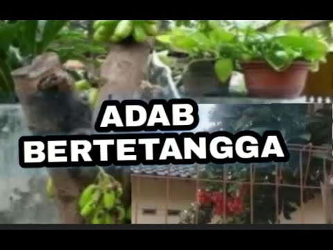 ADAB BERTETANGGA MENURUT ISLAM @yaminhasibuan319
