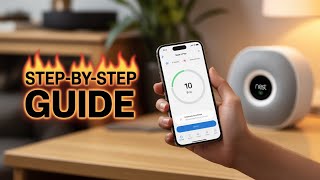 How To Check Flight Status on Delta App - easy steps