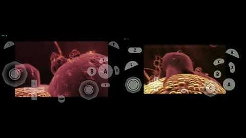 Asus ROG Phone vs iPhone 6 (Dolphin Emulator #2) Metroid Prime 1