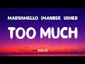 Marshmello & Imanbek ft. Usher - Too Much (Lyrics)