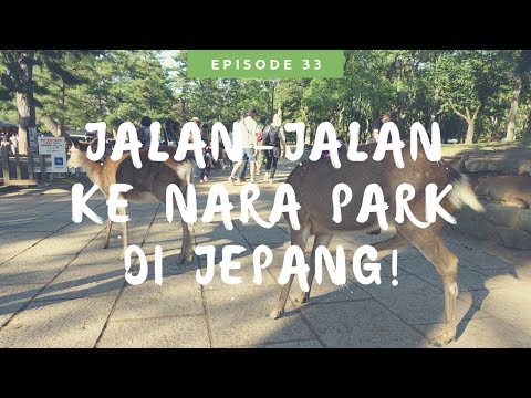 Jalan Jalan Ke Nara Park Di Jepang Ketemu Rusa Di Pusat Kota [ Travel Vlog Jalan Jalan Di Jepang ]