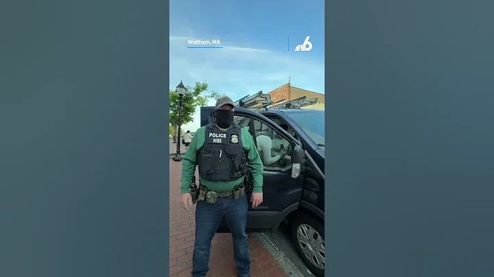 ICE agent smashes window to detain immigrant