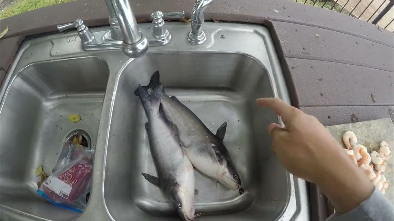 Catching COLD WINTER catfish (Lake Conroe fishing) YouTube