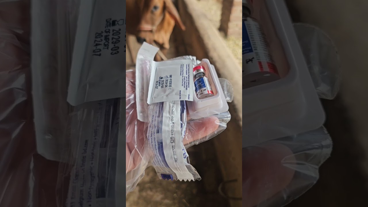 Ovulanta Injection || Buserelin/GnRH Analogue