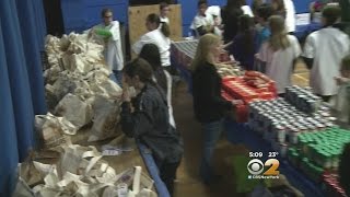 MLK Day Of Service