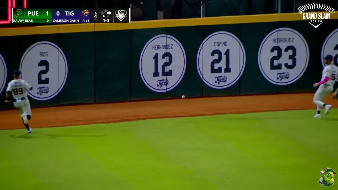 Doble de Raudy Read produce a Jefry Marte, los campeones se alejan. | Tigres VS Pericos | LMB 2024