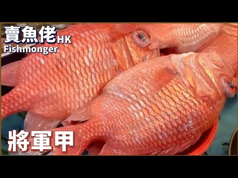父親節快樂🍻將軍甲 【賣魚佬 OH! Seafood HK】｜西環魚王