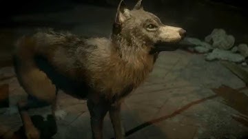 Until Dawn - Chapter 9 Mike and the wolf "Despair" playthrough