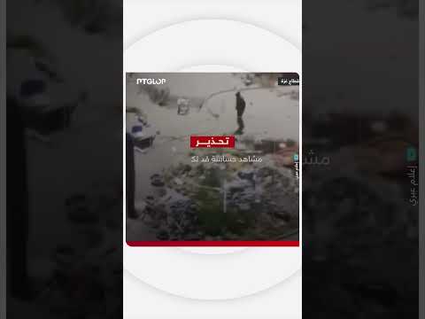 مشهد مؤثر يوثق لحظة إعدام شاب فلسطيني أعزل في إحدى مناطق قطاع غزة
