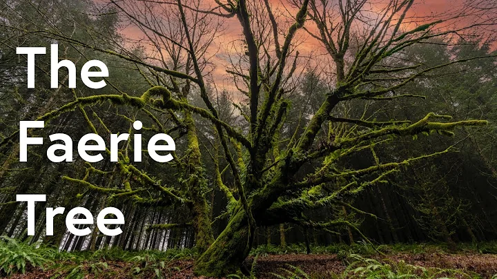 Hello World - Bradley Joyce Photography #001 - The...