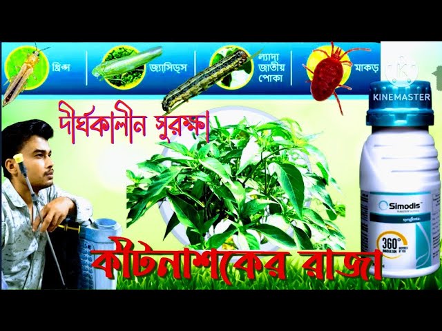 Qiz dostingiz uchun shahvoniy iltifotlar