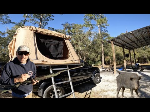 3 Days On Our *new Property* Camping, Hunting And Setting Up Camp (catch & Cook)