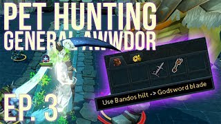 RuneScape 3: Loot from 1,000 Bandos Kills! - Boss Pet Hunting #3