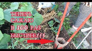 видео: ЖАЛЬ Я РАНЬШЕ НЕ ЗНАЛА ОБ ЭТОМ СПОСОБЕ! ТЕПЕРЬ САЖАЮ В 100 РАЗ БЫСТРЕЕ! картинка: ЖАЛЬ Я РАНЬШЕ НЕ ЗНАЛА ОБ ЭТОМ СПОСОБЕ! ТЕПЕРЬ САЖАЮ В 100 РАЗ БЫСТРЕЕ!