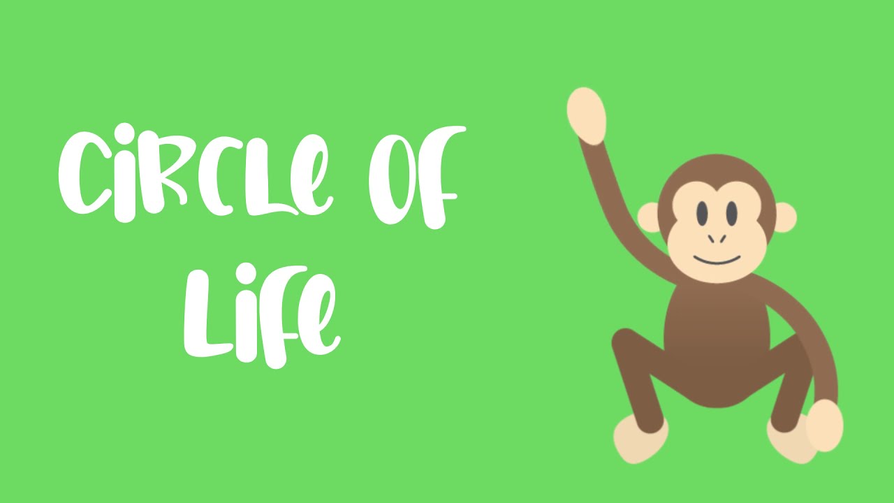 Life Cycle and Food Chain