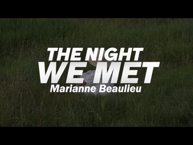 Marianne Beaulieu - The Night We Met 🌙 (Lyrics) -Cover- class=