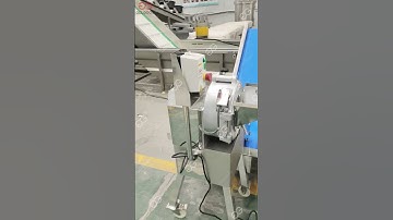 Iqf Frozen Mango Diced Production Line Manufacturers