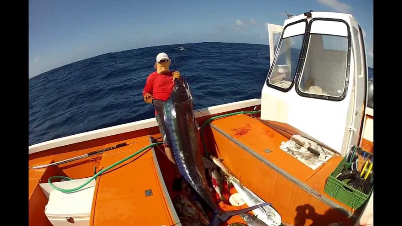 Létang voronej la pêche