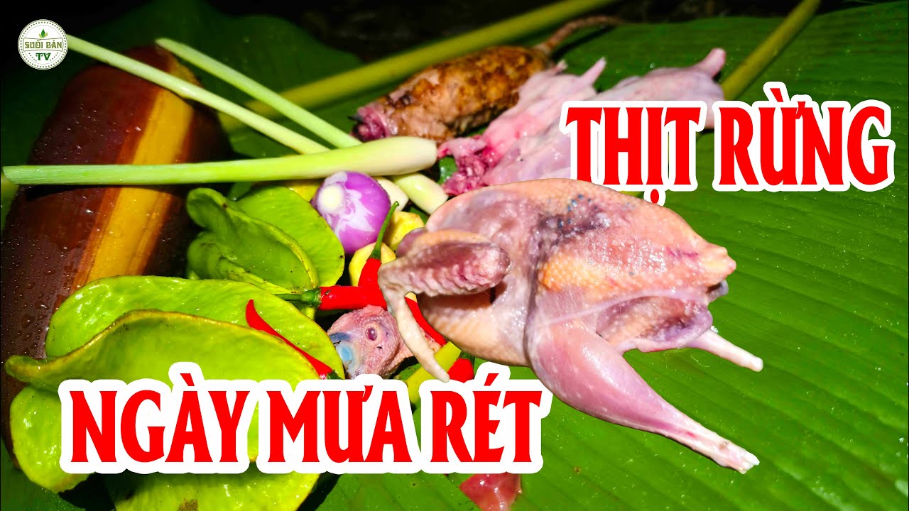 Ngày Gió Mùa Đông Bắc Tràn Về Có Món Lẩu Giữa Rừng Già Ngày Mưa Rét ✧ Suối Bản Tv