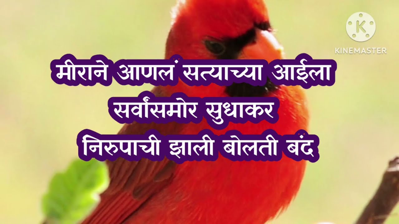 मीराने आणलं सर्वांसमोर सत्याच्या आईला|sadhi mansa today episode 