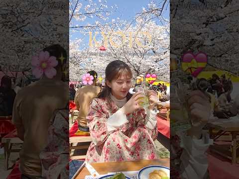 <strong>교토</strong> 벚꽃명소 핫플 방문 후기 요약🌸#교토여행 #교토벚꽃 #kyototrip