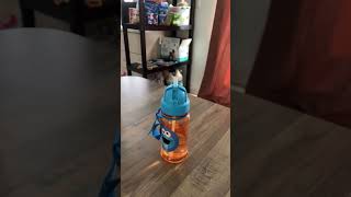 Y así es con los juguetes #boymom #maternidad #vlog #shortvideo