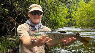 Brown Trout, Rainbows & Bartrams Bass - Walk-in Fishing Adventure