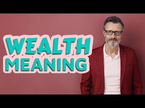 Wealth | Meaning of wealth 📖