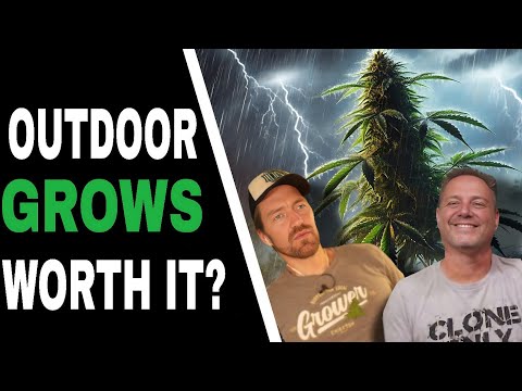 Outdoor Growing: The Pros, The Cons & The Must-Know Tips!