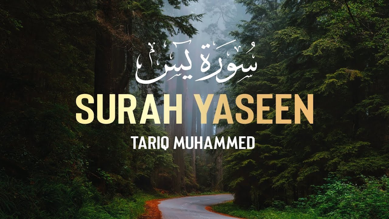 Surah Yaseen |Qari Tariq Muhammed             سوره یس| القاری طارق محمد