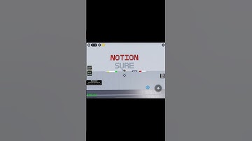 Notion - The Rare Occasions