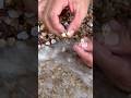 Finding 2 Stunning DIAMONDS GOLD Rings Under The Waves 