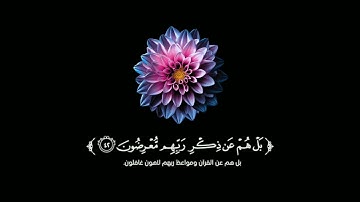 كروما شاشة سوداء قرآن كريم 🌿تلاوة من سورة الأنبياء 🌿القارئ هاني الرفاعي🌿