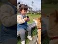 必死すぎるwww #ai #犬 #shorts