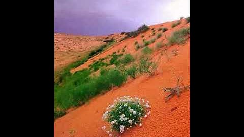 صوت روعه الشيخ احمد عبد الحق جزء من سوره مريم