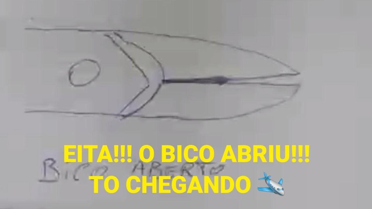 Como fechar o bico do alicate