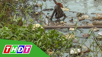 Người dân trông chờ khắc phục ô nhiễm tại kênh cũ, Phường 11, TP. Cao Lãnh | THDT