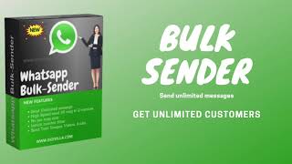 Bulk Sender Software screenshot 1