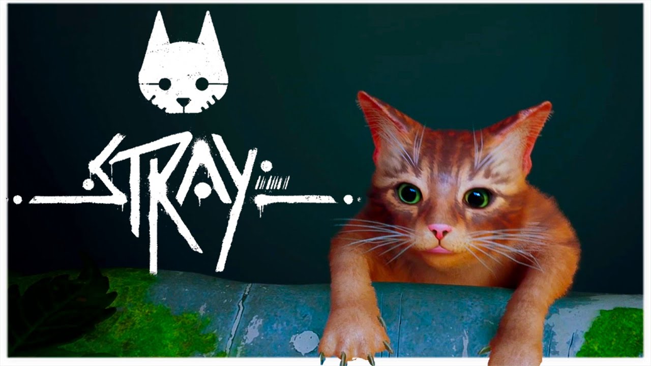 O Jogo do Gato!!!  STRAY - Início de Gameplay, em Português PT-BR! 