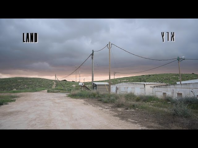 שרינה רוזנר | עדות מקומית 2020