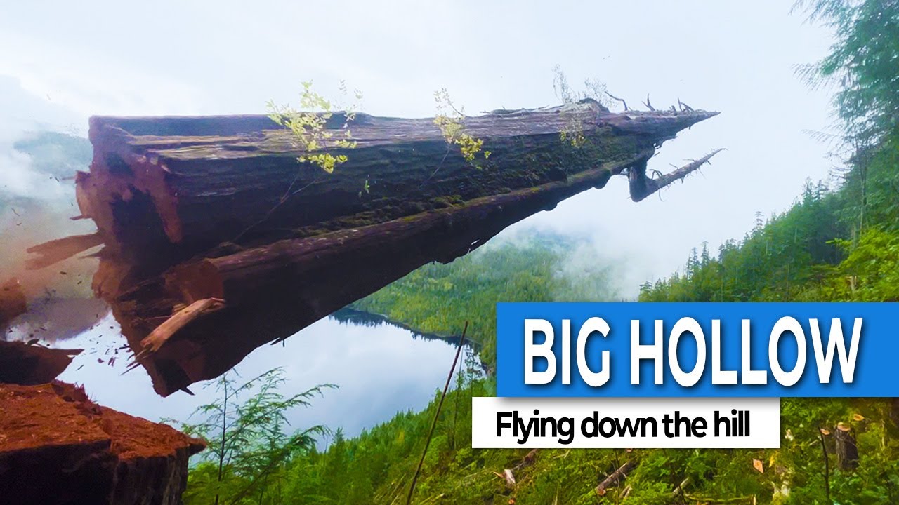 SEND IT!!!  | Airborne Trees