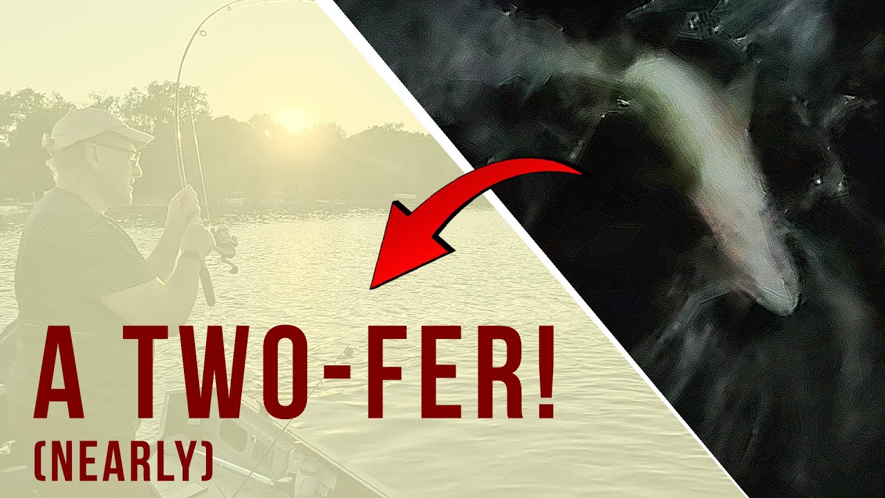 Summer Bass Fishing Surprise on Lower Nemahbin Lake!