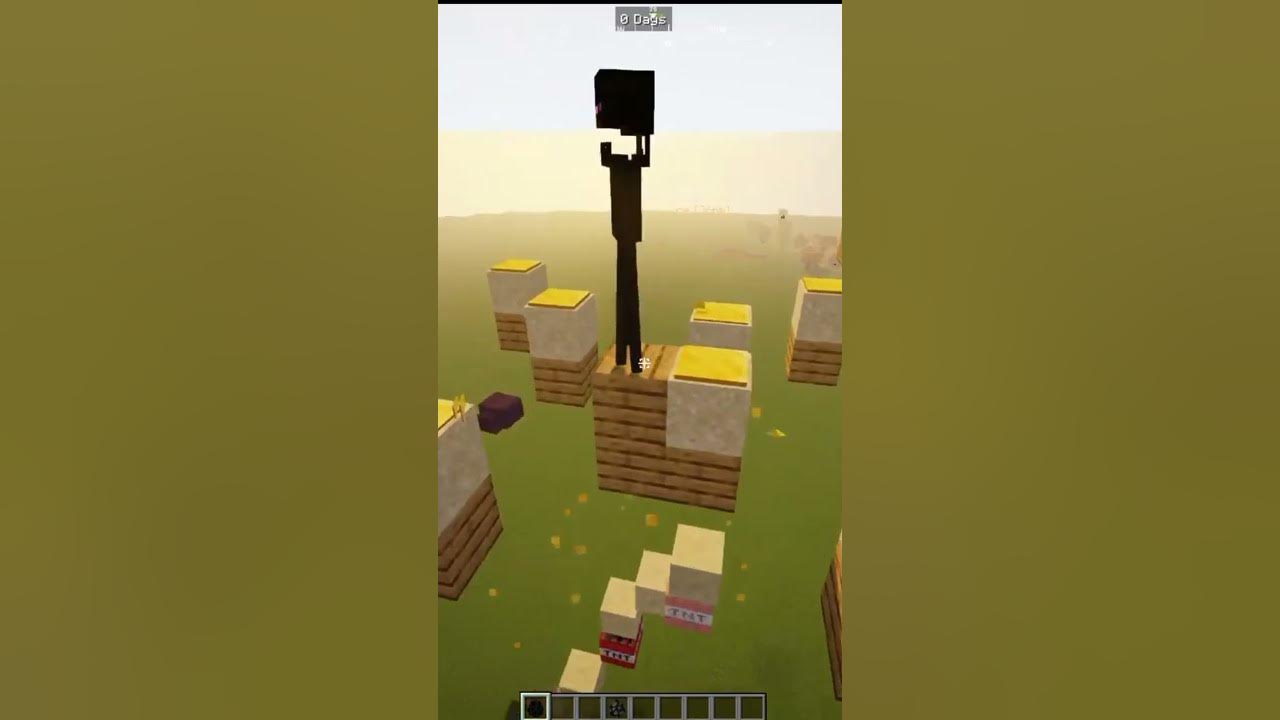 Can Enderman Pass the TNT trap to catch Endermite? minecraft shorts 