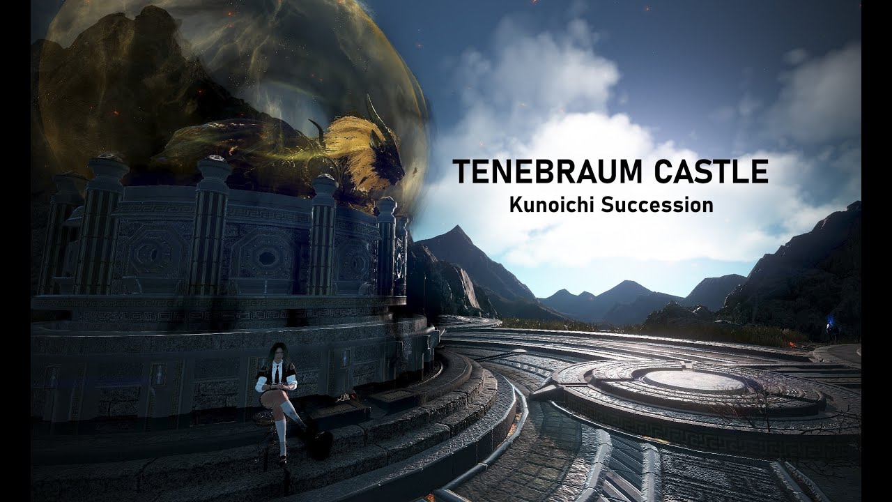 BDO | Tenebraum Castle | 1 cycle |  Under AP cap | Kunoichi Succession PVE