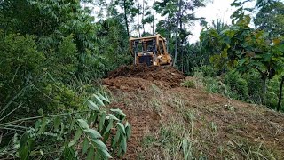 CATERPILLAR BULLDOZER D6R XL An incredible job repairing a long-abandoned plantation road